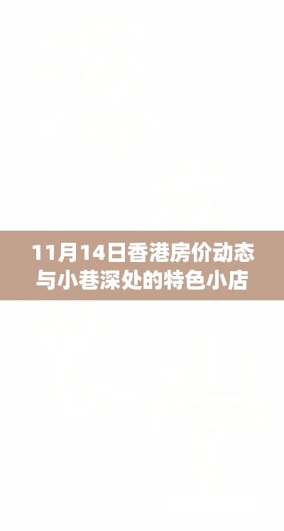 11月14日香港房价动态与小巷深处的特色小店探秘，背后的故事与最新消息新闻