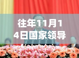 往年11月14日国家领导人职务概览与最新职务变动分析