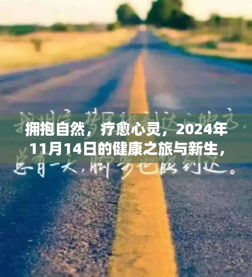 拥抱自然，疗愈心灵，2024年11月14日的健康之旅与新生，最新患病人数报告