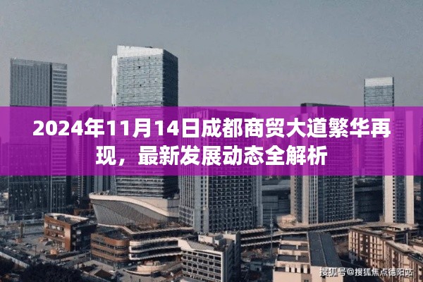 2024年11月14日成都商贸大道繁华再现，最新发展动态全解析