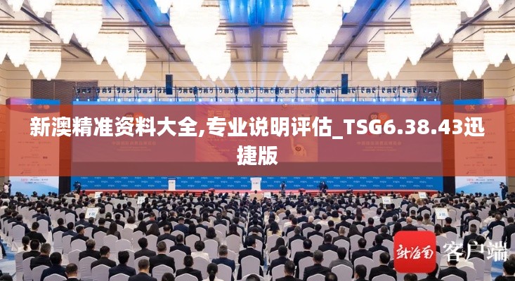 新澳精准资料大全,专业说明评估_TSG6.38.43迅捷版