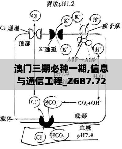 溴门三期必种一期,信息与通信工程_ZGB7.72.57水晶版