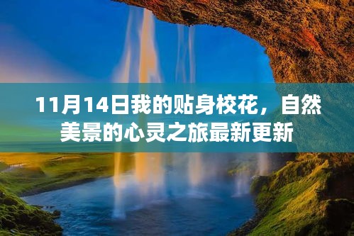 11月14日我的贴身校花，自然美景的心灵之旅最新更新