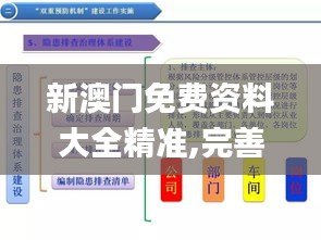 新澳门免费资料大全精准,完善的执行机制分析_RMD9.74.99社交版