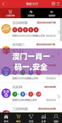 澳门一肖一码一,安全策略评估方案_YDW6.66.40随行版