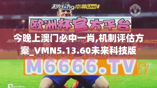 今晚上澳门必中一肖,机制评估方案_VMN5.13.60未来科技版