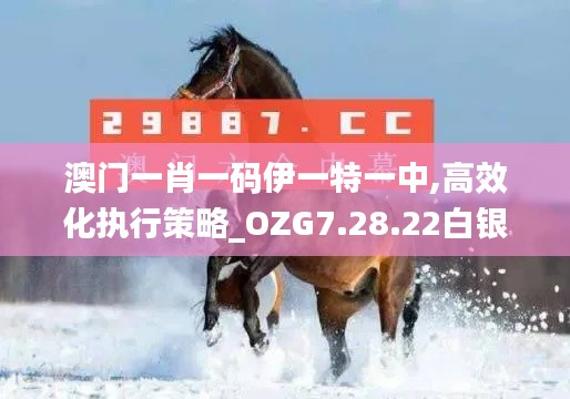 澳门一肖一码伊一特一中,高效化执行策略_OZG7.28.22白银版