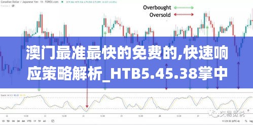 澳门最准最快的免费的,快速响应策略解析_HTB5.45.38掌中版