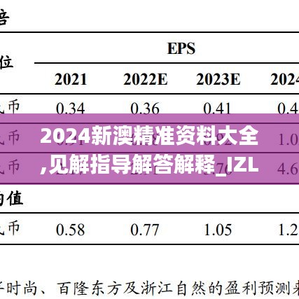 2024新澳精准资料大全,见解指导解答解释_IZL9.60.24按需版