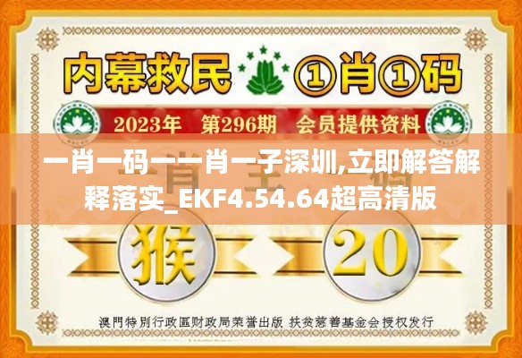 一肖一码一一肖一子深圳,立即解答解释落实_EKF4.54.64超高清版