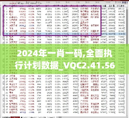 2024年一肖一码,全面执行计划数据_VQC2.41.56学院版