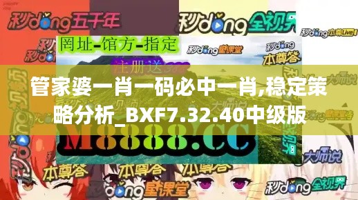 管家婆一肖一码必中一肖,稳定策略分析_BXF7.32.40中级版