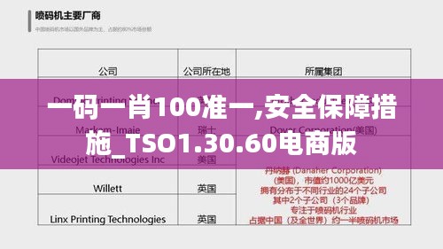 一码一肖100准一,安全保障措施_TSO1.30.60电商版