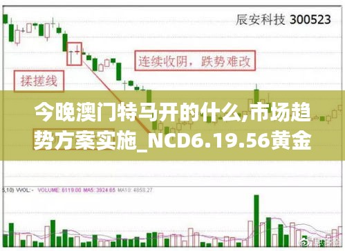 今晚澳门特马开的什么,市场趋势方案实施_NCD6.19.56黄金版