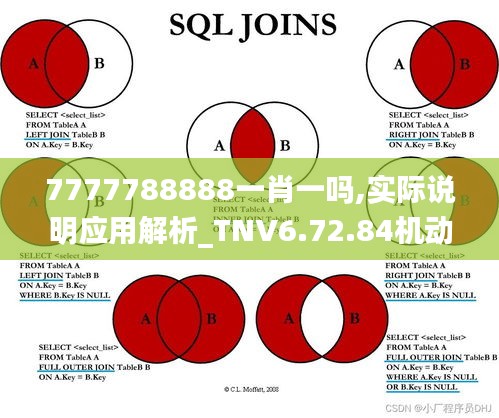 7777788888一肖一吗,实际说明应用解析_TNV6.72.84机动版