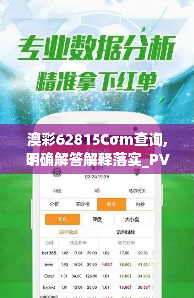 澳彩62815Cσm查询,明确解答解释落实_PVP4.60.31桌面款