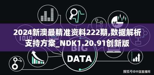 2024新澳最精准资料222期,数据解析支持方案_NDK1.20.91创新版