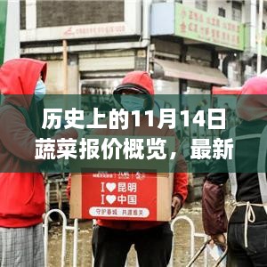 历史上的11月14日蔬菜报价概览，最新蔬菜市场报价分析