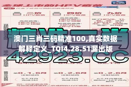 澳门三肖三码精准100,真实数据解释定义_TQI4.28.51漏出版