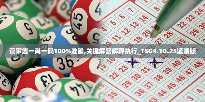 管家婆一肖一码100%准确,关键解答解释执行_TSG4.10.25紧凑版