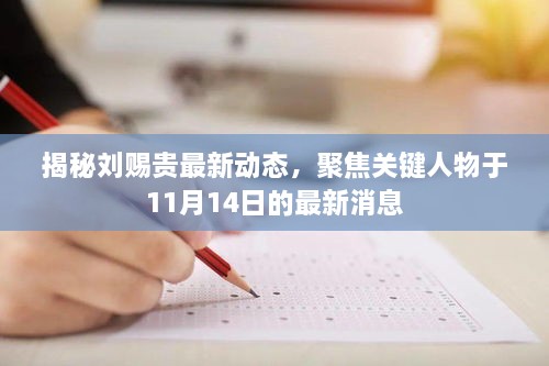 揭秘刘赐贵最新动态，聚焦关键人物于11月14日的最新消息