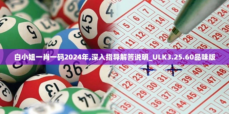 白小姐一肖一码2024年,深入指导解答说明_ULK3.25.60品味版