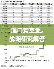 澳门芳草地,战略研究解答解释计划_CGU2.78.72极速版