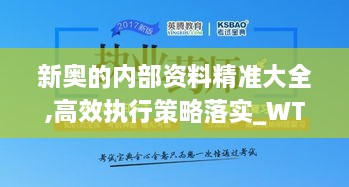 新奥的内部资料精准大全,高效执行策略落实_WTE7.79.50真实版