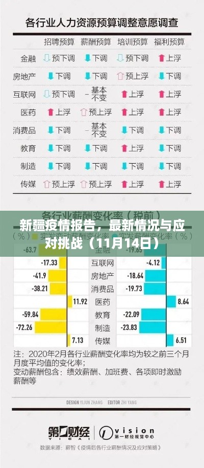 新疆疫情报告，最新情况与应对挑战（11月14日）