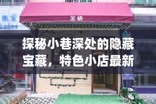 探秘小巷深处的隐藏宝藏，特色小店最新增员风采揭秘（2024年11月14日更新）