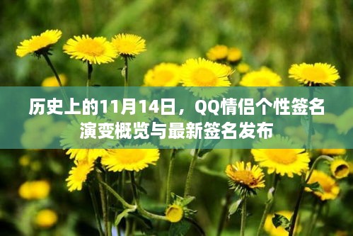 历史上的11月14日，QQ情侣个性签名演变概览与最新签名发布