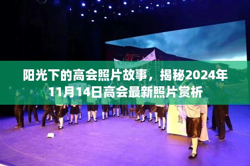 阳光下的高会照片故事，揭秘2024年11月14日高会最新照片赏析