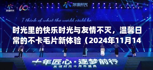 时光里的快乐时光与友情不灭，温馨日常的不卡毛片新体验（2024年11月14日）