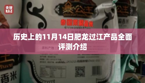 历史上的11月14日肥龙过江产品全面评测介绍