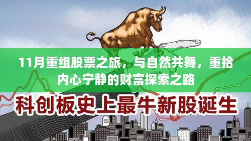 11月重组股票之旅，与自然共舞，重拾内心宁静的财富探索之路