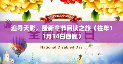 追寻天影，最新章节阅读之旅（往年11月14日回顾）