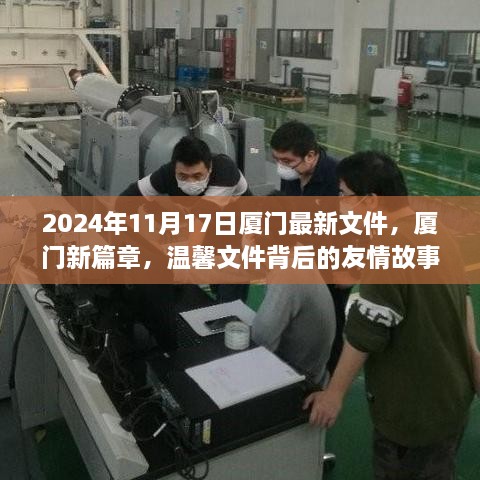 厦门新篇章背后的友情故事，温馨文件揭晓于2024年11月17日