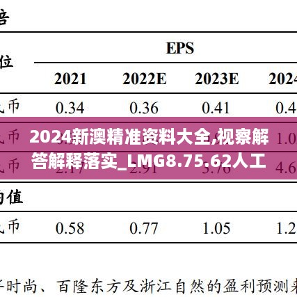 2024新澳精准资料大全,视察解答解释落实_LMG8.75.62人工智能版