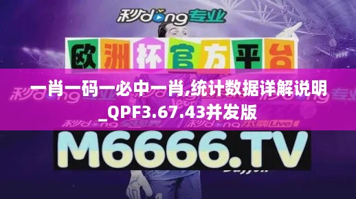 一肖一码一必中一肖,统计数据详解说明_QPF3.67.43并发版