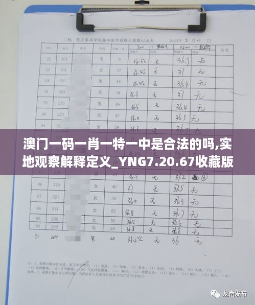 澳门一码一肖一特一中是合法的吗,实地观察解释定义_YNG7.20.67收藏版