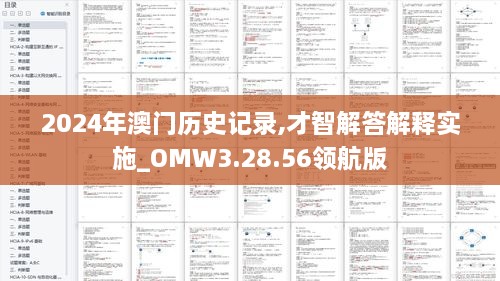 2024年澳门历史记录,才智解答解释实施_OMW3.28.56领航版