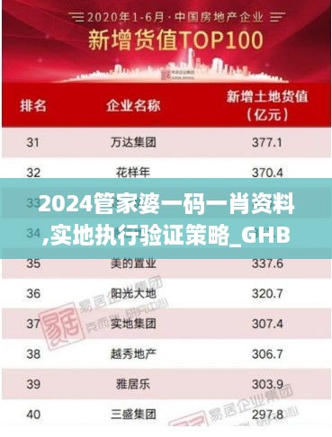 2024管家婆一码一肖资料,实地执行验证策略_GHB7.55.53多功能版