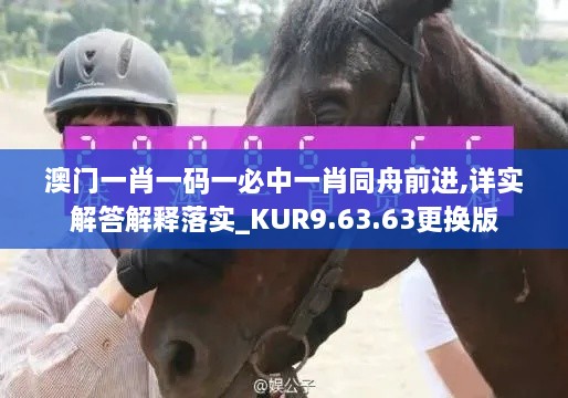 澳门一肖一码一必中一肖同舟前进,详实解答解释落实_KUR9.63.63更换版