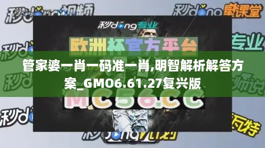 管家婆一肖一码准一肖,明智解析解答方案_GMO6.61.27复兴版