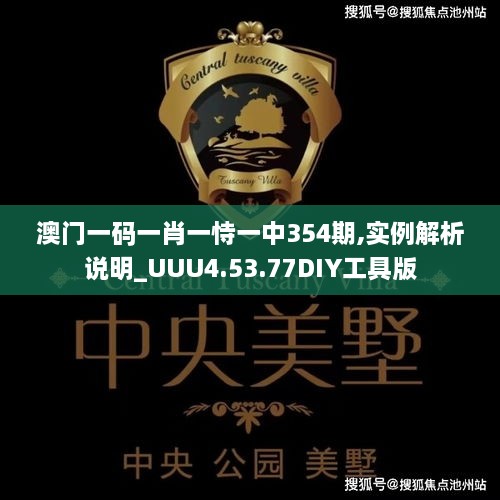 澳门一码一肖一恃一中354期,实例解析说明_UUU4.53.77DIY工具版