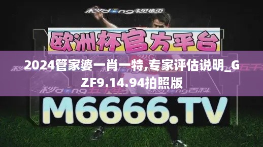 2024管家婆一肖一特,专家评估说明_GZF9.14.94拍照版