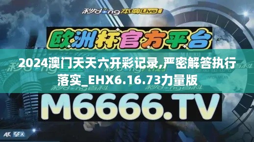 2024澳门天天六开彩记录,严密解答执行落实_EHX6.16.73力量版