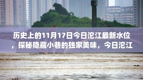 今日沱江水位揭秘与隐藏小巷美食探秘