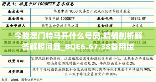 今晚澳门特马开什么号码,精确剖析解答解释问题_BQE6.67.38备用版