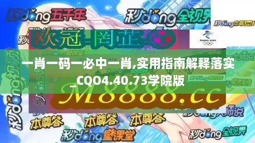 一肖一码一必中一肖,实用指南解释落实_CQO4.40.73学院版